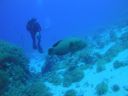 DSC00060.JPG