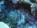 DSC00062.JPG