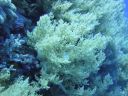 DSC00063.JPG