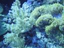 DSC00069.JPG