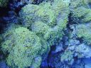 DSC00076.JPG