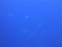 DSC00080.JPG