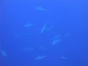 DSC00082.JPG
