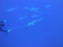 DSC00083.JPG