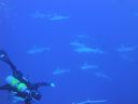DSC00084.JPG