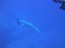 DSC00085.JPG