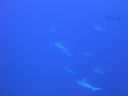 DSC00089.JPG