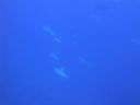 DSC00090.JPG