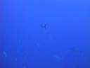 DSC00092.JPG