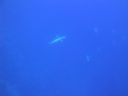 DSC00093.JPG
