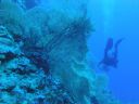 DSC00209.JPG