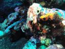 DSC00210.JPG