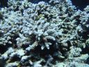 DSC00216.JPG