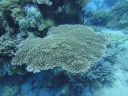 DSC00217.JPG