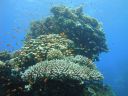 DSC00223.JPG