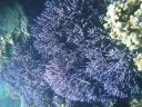 DSC00229.JPG