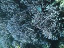 DSC00230.JPG