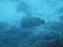 DSC00234.JPG