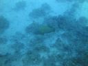 DSC00235.JPG