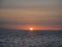 DSC00319.JPG