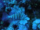 DSC00348.JPG