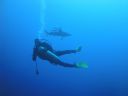 DSC00445.JPG