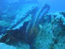 DSC00494.JPG