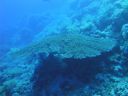 DSC00499.JPG