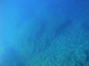 Filename=DSC00510.JPG
Filesize=267KiB
Dimensions=1024x768
Date added=Oct 20, 2017 DSC00510.JPG