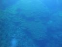 DSC00511.JPG