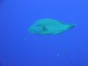 DSC00517.JPG