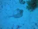 DSC00519.JPG