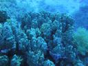 Filename=DSC00524.JPG
Filesize=387KiB
Dimensions=1024x768
Date added=Oct 20, 2017 DSC00524.JPG