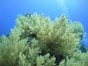 DSC00540.JPG