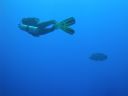 DSC00542.JPG