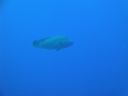 DSC00543.JPG