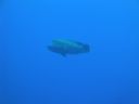 DSC00545.JPG