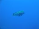 DSC00546.JPG