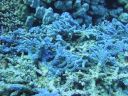 DSC00552.JPG