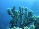 DSC00556.JPG