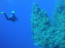 DSC00563.JPG