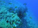 DSC00569.JPG