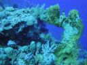 DSC00570.JPG