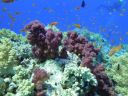 DSC00577.JPG