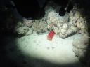 DSC00591.JPG