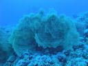 DSC00594.JPG