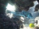 DSC00600.JPG