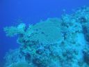 DSC00607.JPG