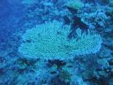 DSC00610.JPG