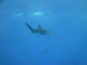 DSC00623.JPG